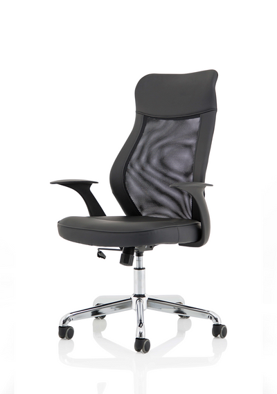 Baye Home Office Chair | Ergonomic Office Chair | Home Office Chair | Home Office Furniture | Home Furnishings 